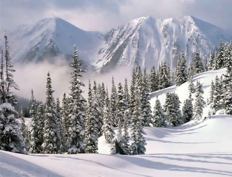 naturaleza, invierno, 2K, paisaje, arboles