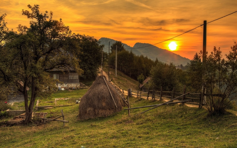 tree, 4K, cable, paisaje, sky, power supply, grass, sunset, nature, plant, beauty in nature, amanecer, non-urban scene, tranquil scene, scenics - nature