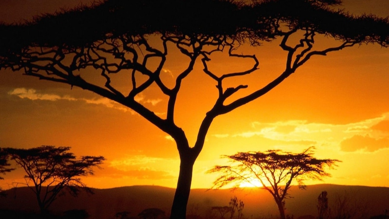 naturaleza, bare tree, tranquility, cloud - sky, outdoors, nature, tranquil scene, tree, no people, scenics - nature, sunset, amanecer, sky, land, non-urban scene