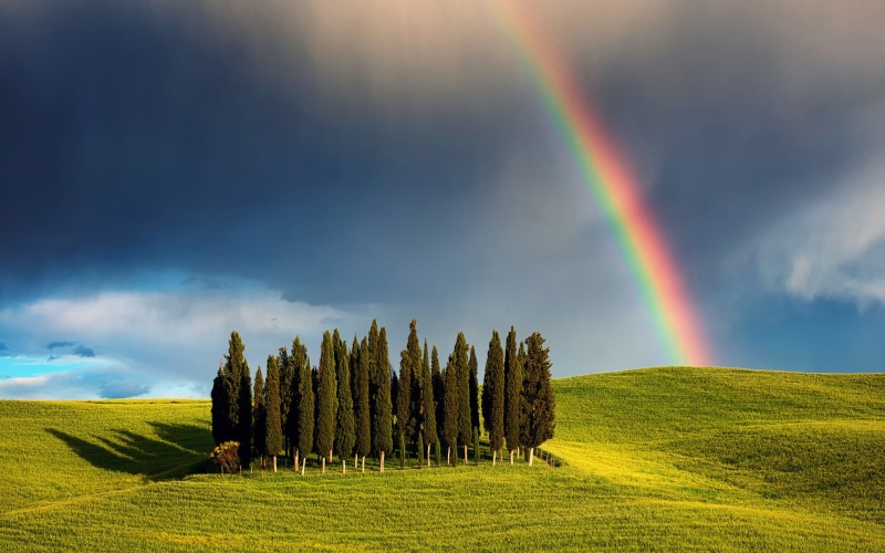 arco, iris, 1080P, prado, naturaleza, arboles