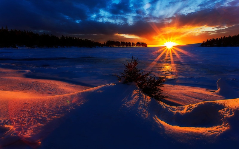 nieve, amanecer, invierno, 2K, naturaleza