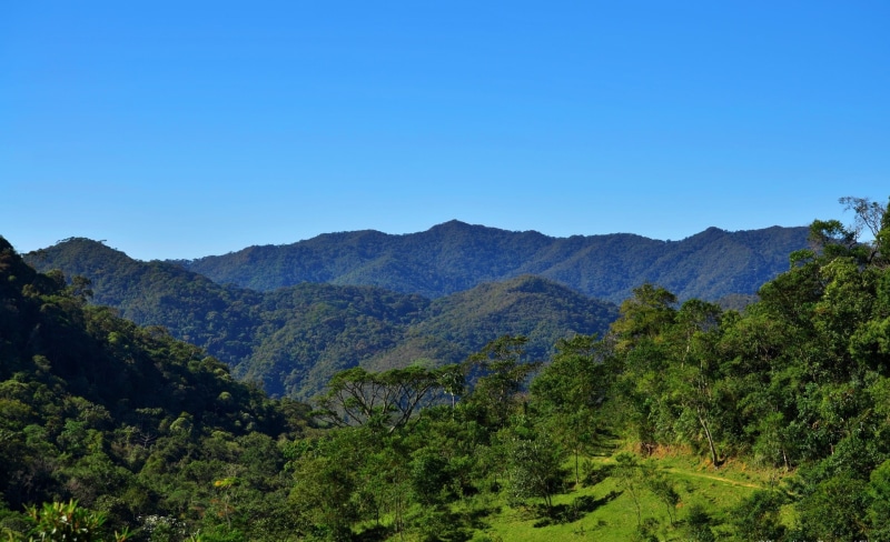 landscape, no people, tree, mountain, green color, brazil, scenics - nature, trees, day, non-urban scene, brasil, environment, forest, Nature, green, plant