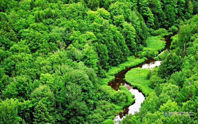 agua, nature and landscapes, mundo, arvores, 1080P, natureza, vida, verde, lindo