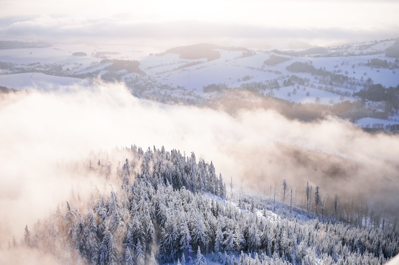 snow, mountain, coniferous tree, winter, Fog, pine woodland, forest, woodland, mountains, outdoors, softness, no people, scenics - nature, pine tree, white color