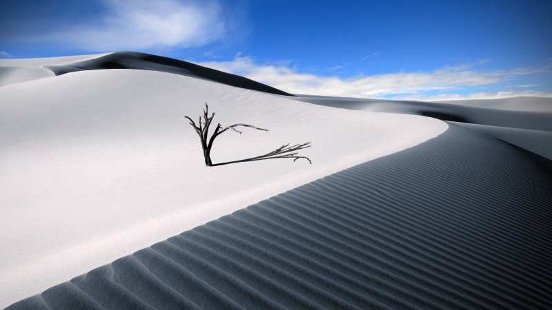 dunas, seco, desierto, 1080P, arenas, naturaleza, arbol