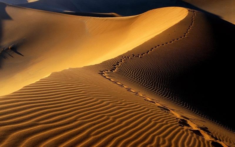 pisadas, 1080P, naturaleza, arena, dunas, desierto