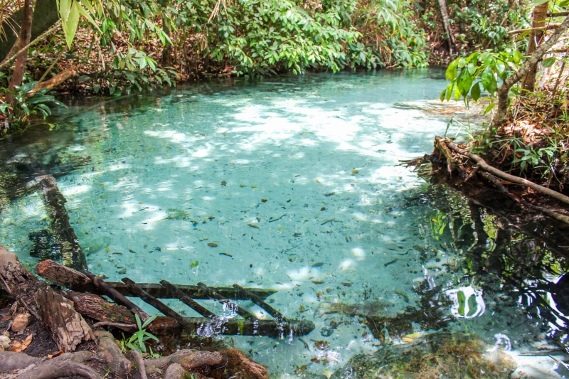 turquoise colored, brazil, paradise, viagem, shallow, growth, outdoors, nature, jalapao, rock, tranquil scene, river, high angle view, scenics - nature