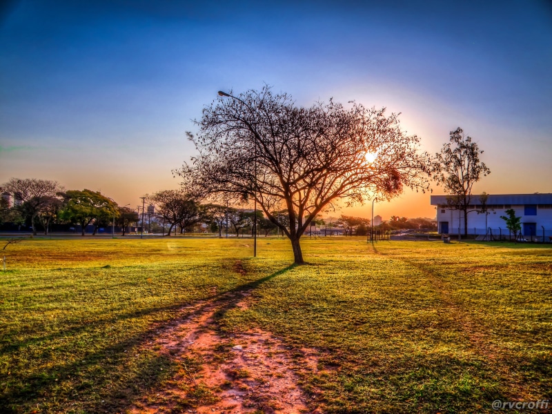 olympus, Pôr, afternoon, sun, colorido, dusk, photo, nature, beautiful, colorful, por, hdr, Sol, São Paulo, ICB, awesome, instituto, brazil, grass, hdri