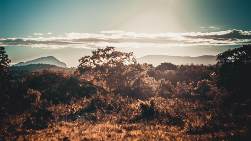 cloud - sky, scenics - nature, idyllic, brazil, 4K, landscape, outdoors, national park, plateau, trees, tranquility, view, beauty in nature, sky, growth