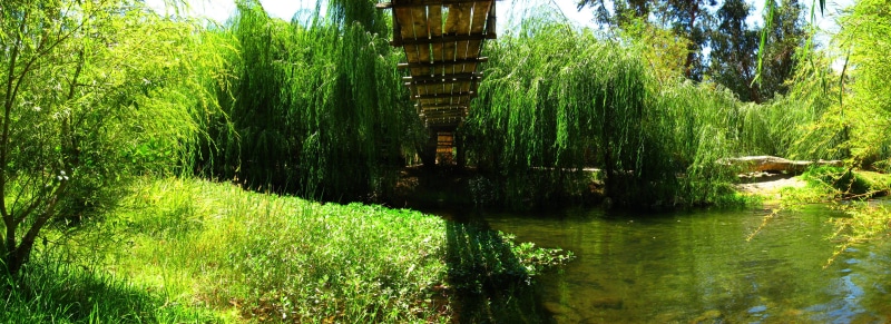 naturaleza, river, lake, growth, tranquility, tree, nature, tranquil scene, forest, reflection, plant, bridge, rio, green color, iv región, no people, land