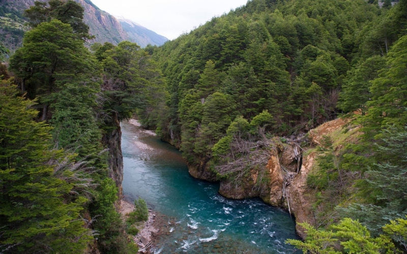 plant, beauty in nature, flowing, turquoise, non-urban scene, river, landscape, tree, nature, tranquility, idyllic, mountains, day, water, green color