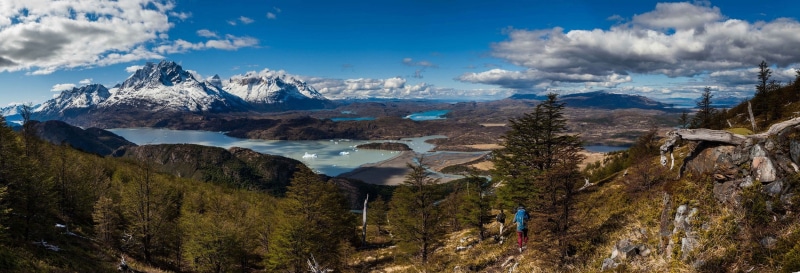 pine woodland, plant, panoramas, environment, mountain range, torres del paine national park, cloud - sky, Chile, landscape, nature, winter, mountains