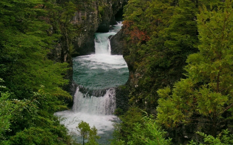 flowing, canyon, green, plant, waterfall, Chile, tree, landscape, blurred motion, water, beauty in nature, non-urban scene, nature, no people, river, scenics - nature