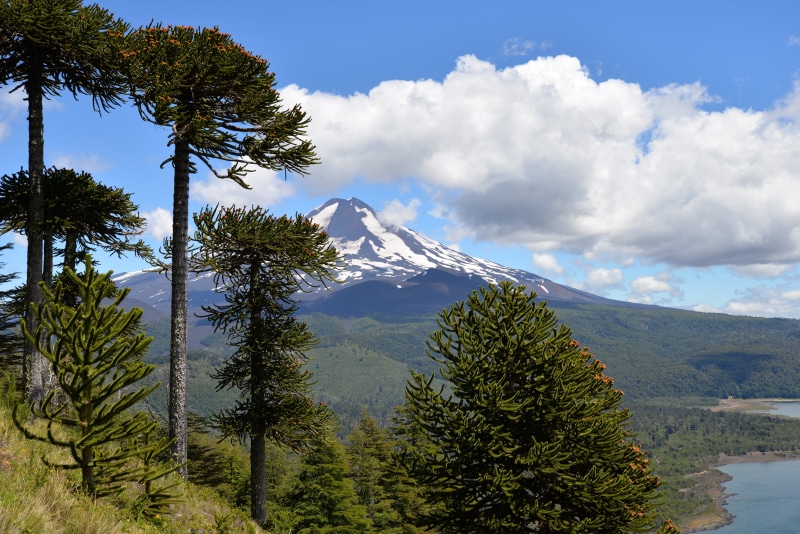 ancient, near, plant, ecosystem, mountain peak, cloud - sky, nature, mountain, scenics - nature, tranquility, volcano, high mountain, landscape, lake, mountain range