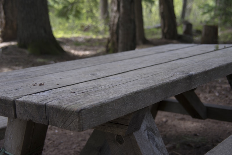 table, outdoors, close-up, gray, trunk, park - Man Made Space, wood - Material, tree, focus on foreground, roadside, forest, nature, 5K, tree trunk, plant