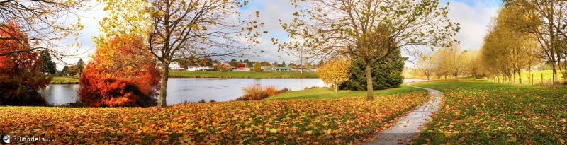 pathway, landscape, season, autumn colours, autumn  colours, colourful, grasses, 2K, autumn, middle, grey, leaves, park - Man Made Space, grass  trees