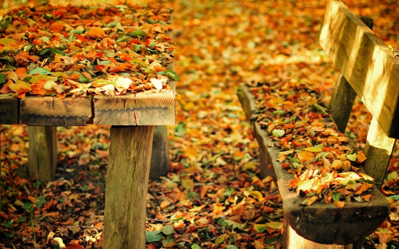 set, Fall, picnic, Nature, Leaves, Park, brown, Table, Autumn, wooden, 1080P, Bench