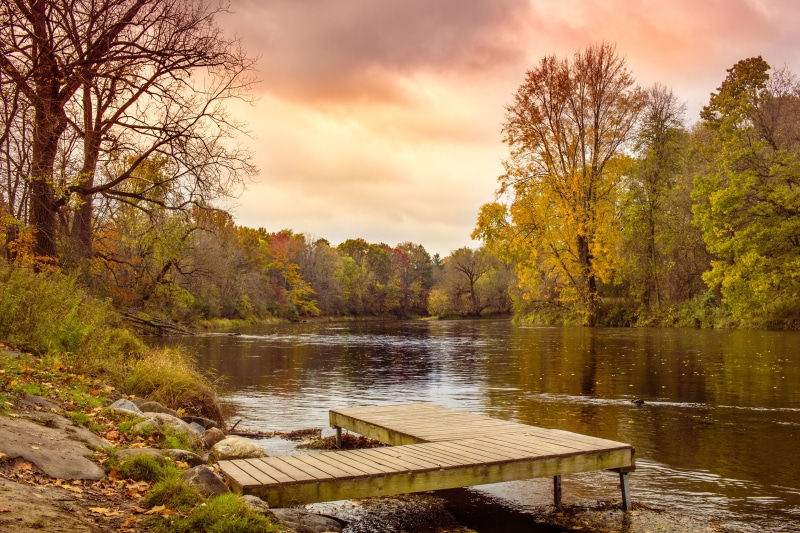 chippewa, wooden, river, reflection, tranquil Scene, yellow, woodland, tree, pine  river, forest, water, EF, brown, nature, fall, f/2.8, leaf, landscape