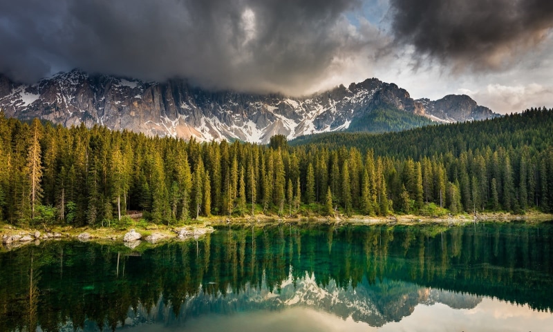 mountain, tranquil scene, woodland, snowy peak, mountains, landscape, brown, pine woodland, pine tree, snowcapped mountain, reflection, no people, beauty in nature