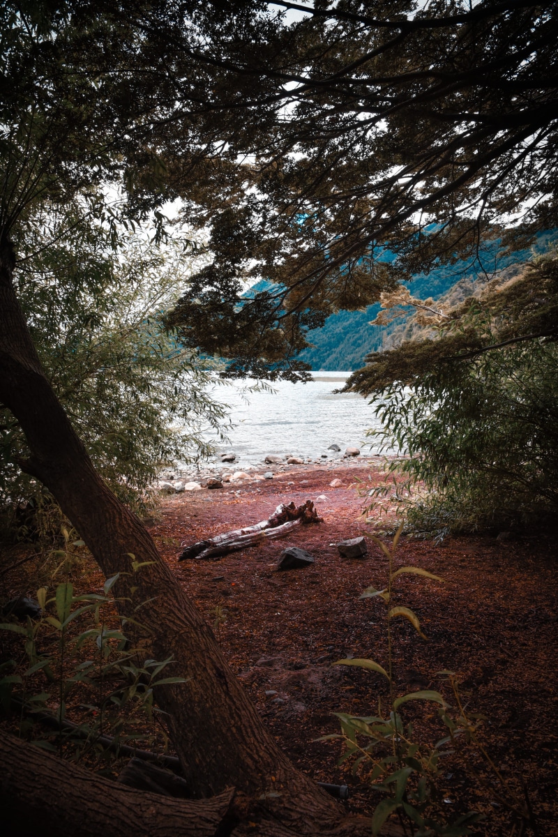 tranquility, nature, day, non-urban scene, plant, landscape, outdoors, 4K, no people, tranquil scene, growth, sky, environment, patagonia, land, tree