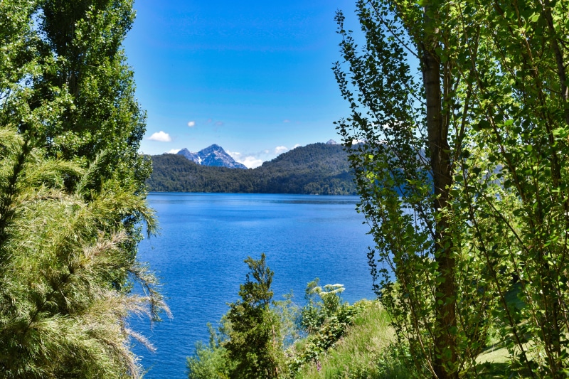 no people, day, green color, tree, tranquility, leafs, non-urban scene, argentina, water, hollidays, nature, clouds, green, plant, tranquil scene, fishing