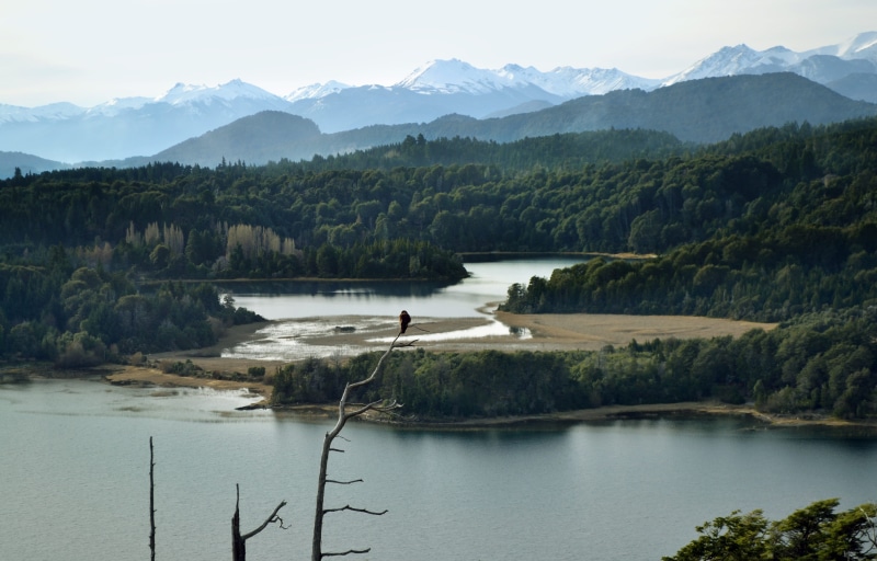 argentina, river, mountain, sky, plant, nature, lakes, wild, lake, 4K, remote, tree, burd, tranquility, trees, forest, beauty in nature, day, scenics - nature