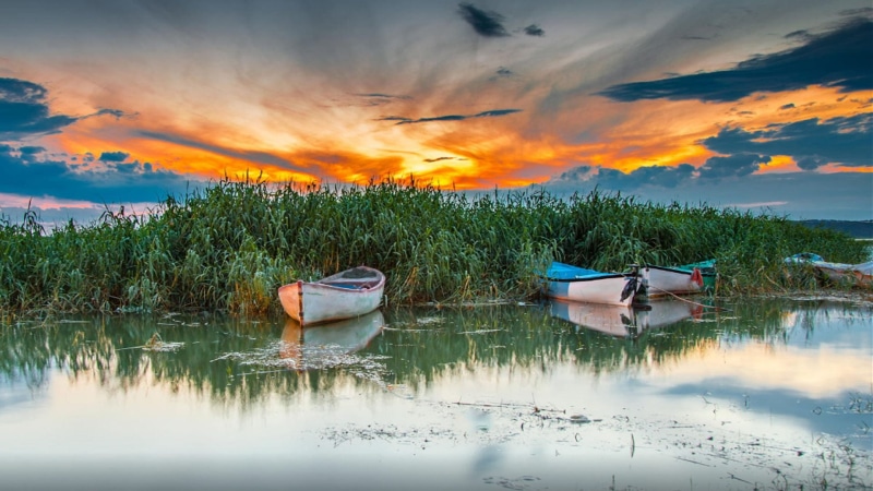 landscape, transportation, sea, boat, tropical, island, beauty in nature, tranquility, plant, moored, sun, outdoor, rowboat, reflection, tranquil scene