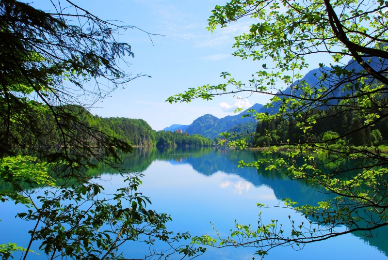 growth, sky, branch, tranquil scene, beauty in nature, cloud - sky, tree, tranquility, water, 2K, non-urban scene, trees, no people, outdoors, lake, reflection