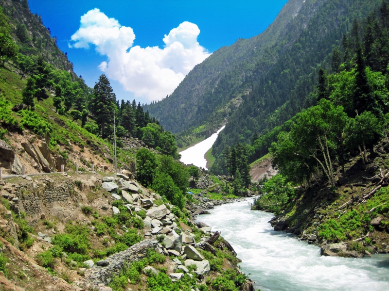 lake, rock - Object, stream, photography, river, 2K, daytime, Natural, gorge  river, plants, river  valley, background, Beautiful, scenics, trees, forest