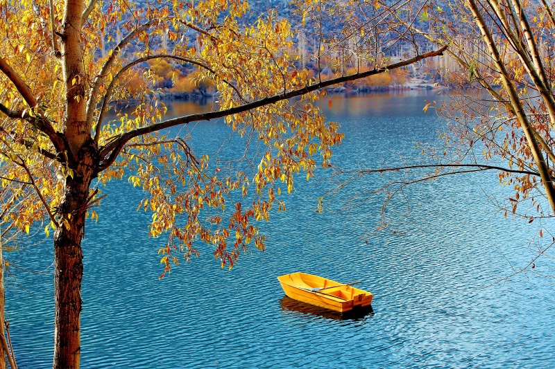 plant, boat, outdoors, colorful, day, blue, upper kachura lake, shangrila lake, branch, orange color, tranquility, middle, plant part, hill, forest, Tree