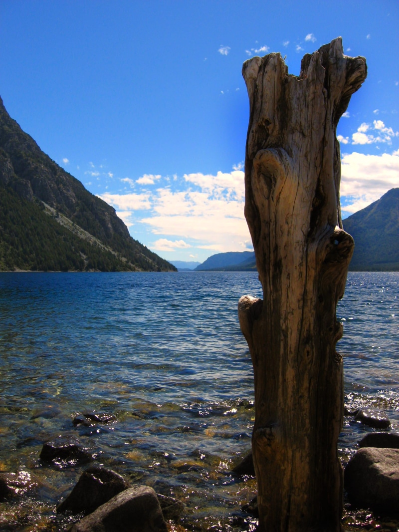beach, neuquén, bark, tranquility, driftwood, tronco, sky, no people, tranquil scene, non-urban scene, lago nahuel huapi, plant, madera, land, lago, cerro