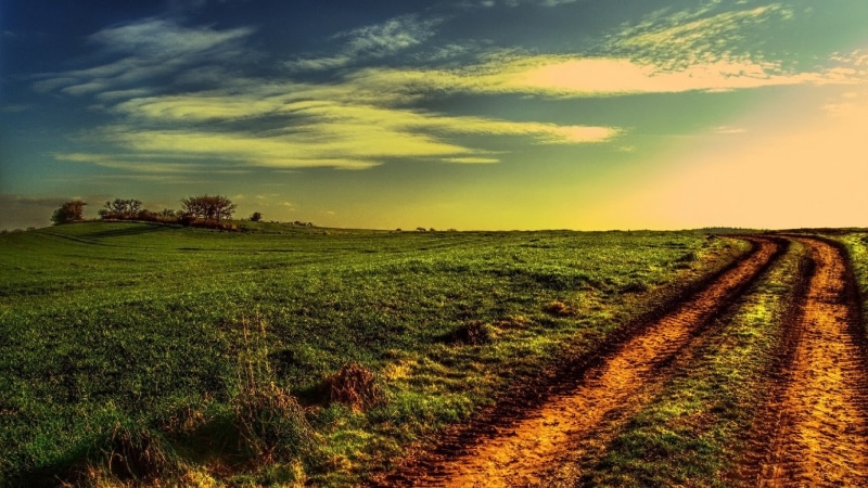plant, cloud - sky, 1080P, environment, growth, tranquility, rural scene, agriculture, widescreen high resolution nature hd 1920x1080, grass, outdoors