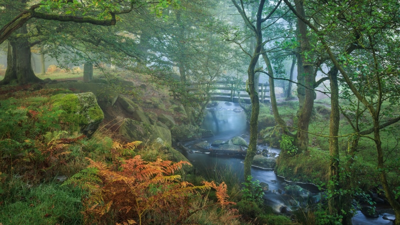 8K, nature full size desktop 7680x4320