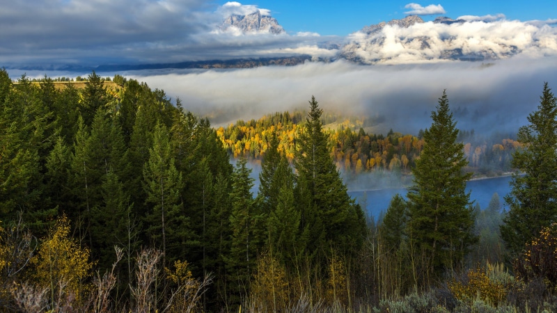 nature full size desktop 7680x4320, 8K