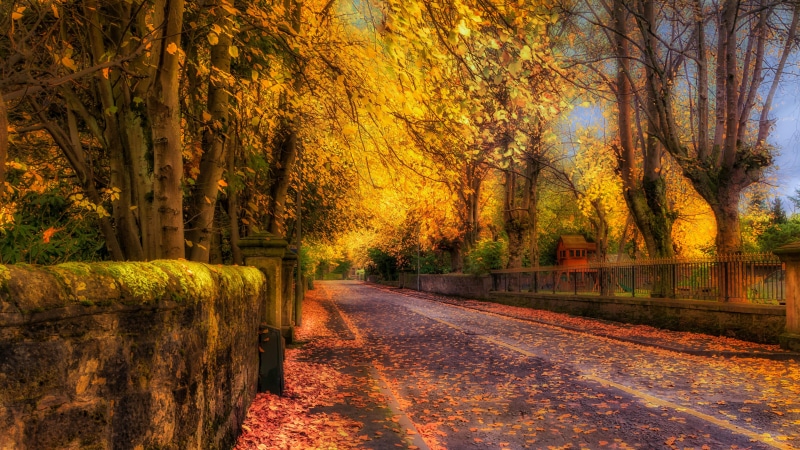 8K, nature full size desktop 7680x4320