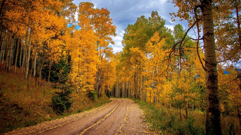 nature full size desktop 7680x4320, 8K