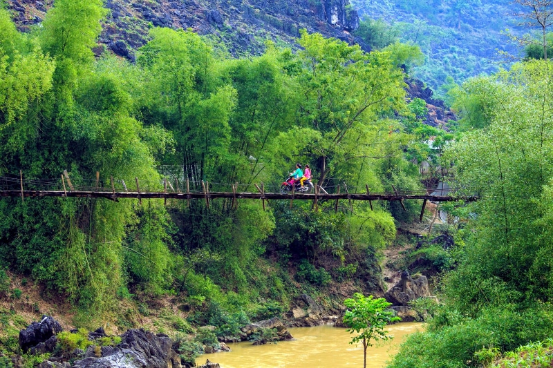 forest, scenics - nature, streams, outdoors, mountain, beauty in nature, people, green color, real people, person, wooden, two people, land, lush foliage