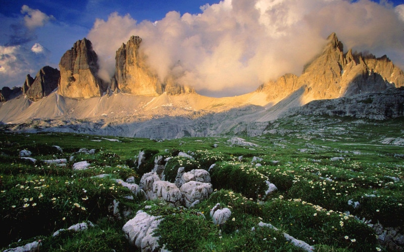 dolomite, dolomites, 1920x1200, flowers, mountain, garden, 1080P, nature, italy, europe, yellow