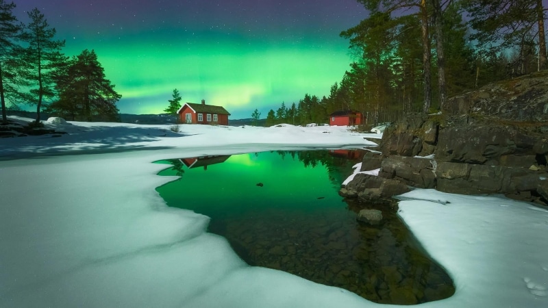 snow, night sky, ice, aurora borealis, plant, 1080P, frozen, starry night, no people, freezing, winter, beauty in nature, night lights, tranquil scene
