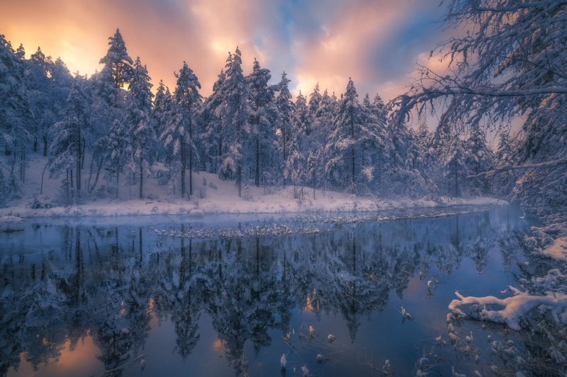 RINGERIKE, ate, forest, Norway, Ole Henrik Skjelstad, river, 1080P, landscape, trees, nature, winter
