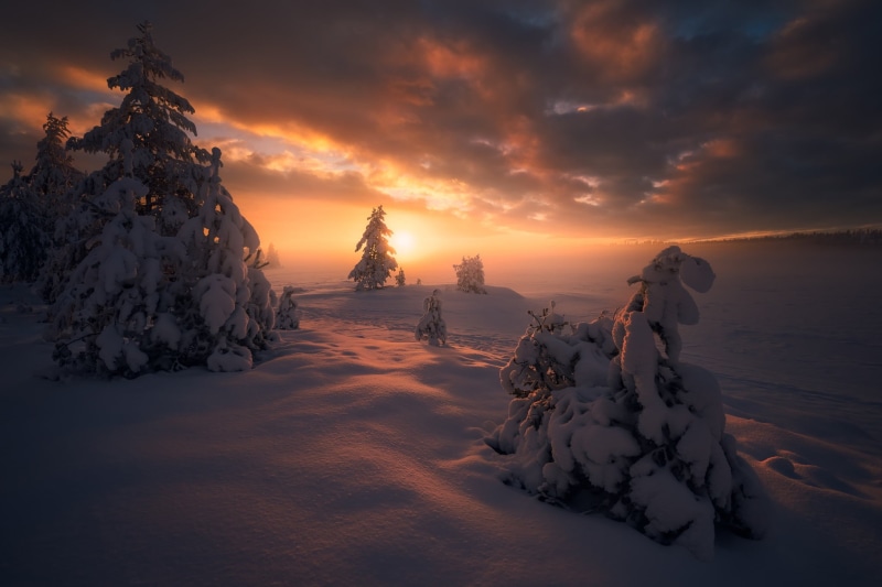 orange color, cloud - sky, the snow, beauty in nature, cold temperature, environment, idyllic, icy, winter, covering, scenics - nature, snow, tranquil scene