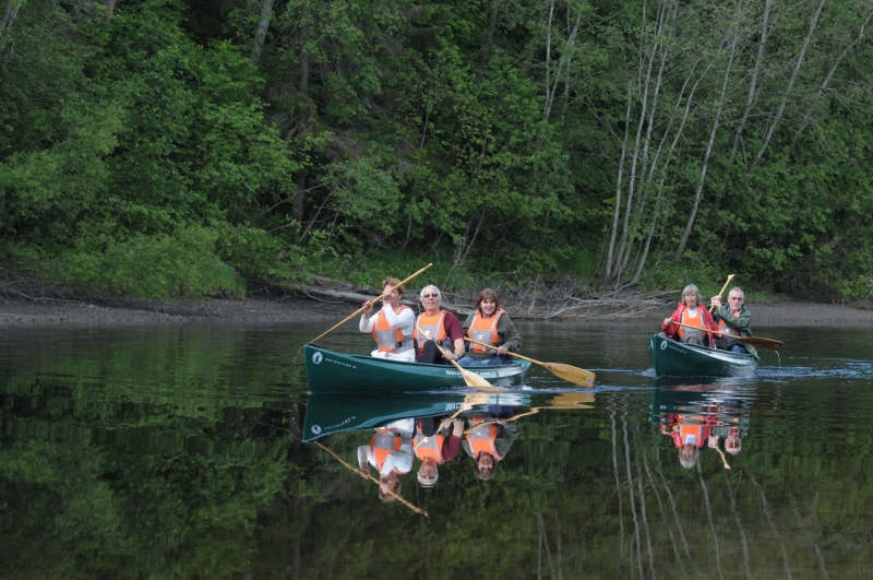 mode of transportation, adult, river, nautical Vessel, recreational Pursuit, sport, oar, transportation, leisure activity, tree, kayak, real people, plant