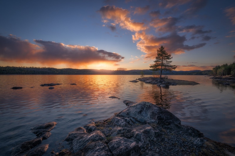 1080P, Norway, clouds, water, lake, tree, island, pine, RINGERIKE, sunset
