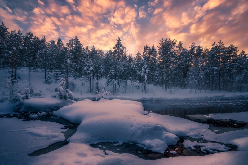 trees, RINGERIKE, forest, 1080P, snow, winter, Norway, the snow, river