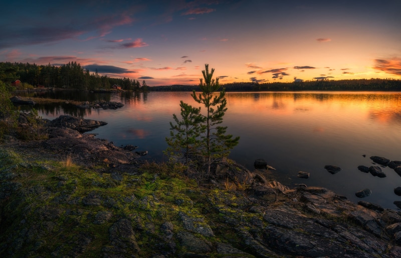 Ringerike, Two Trees, 1080P, Norway