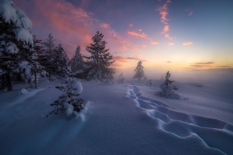 winter, 1080P, RINGERIKE, the snow, snow, trees, traces, Norway