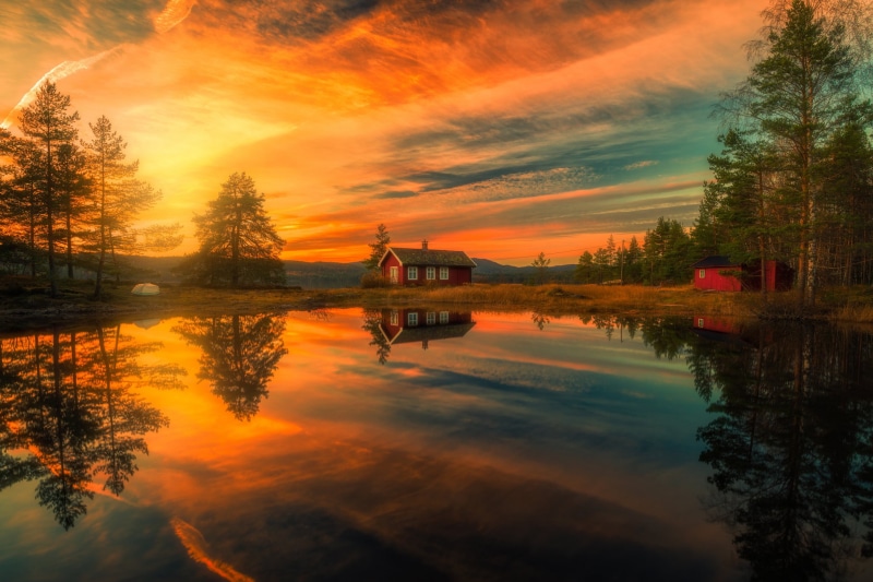golden, gray, RINGERIKE, red, non-urban scene, plant, built structure, body, photography, home, idyllic, hour, tree, house, orange color, 1080P, trees