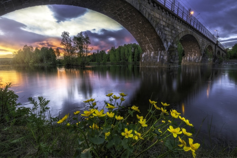Honefoss, scenics - nature, river, plant, nature, bridge, Norway, Hønefoss, reflection, outdoors, RINGERIKE, sunset, built structure, 2K, sky, tree, flowers