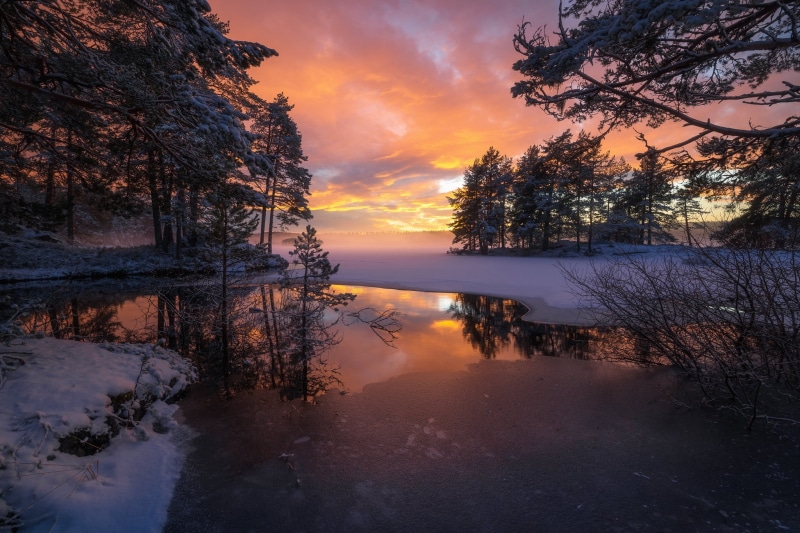 reflection, sunset, lake, trees, Norway, RINGERIKE, 1080P
