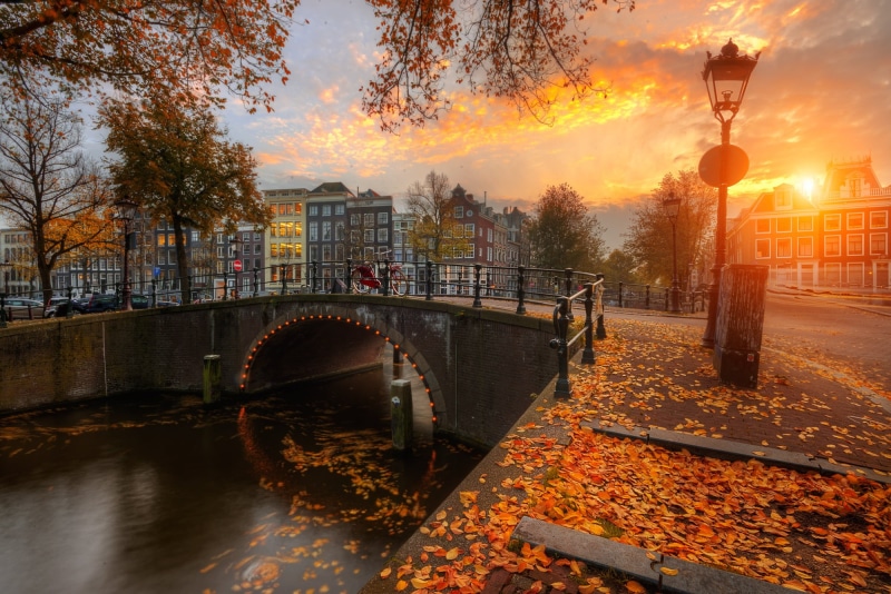 foliage, autumn, Amsterdam, promenade, bridge, Netherlands, Ed Gordeev, the city, channel, Gordeev Edward, sunset, Holland, home, 1080P, Eduard Gordeev